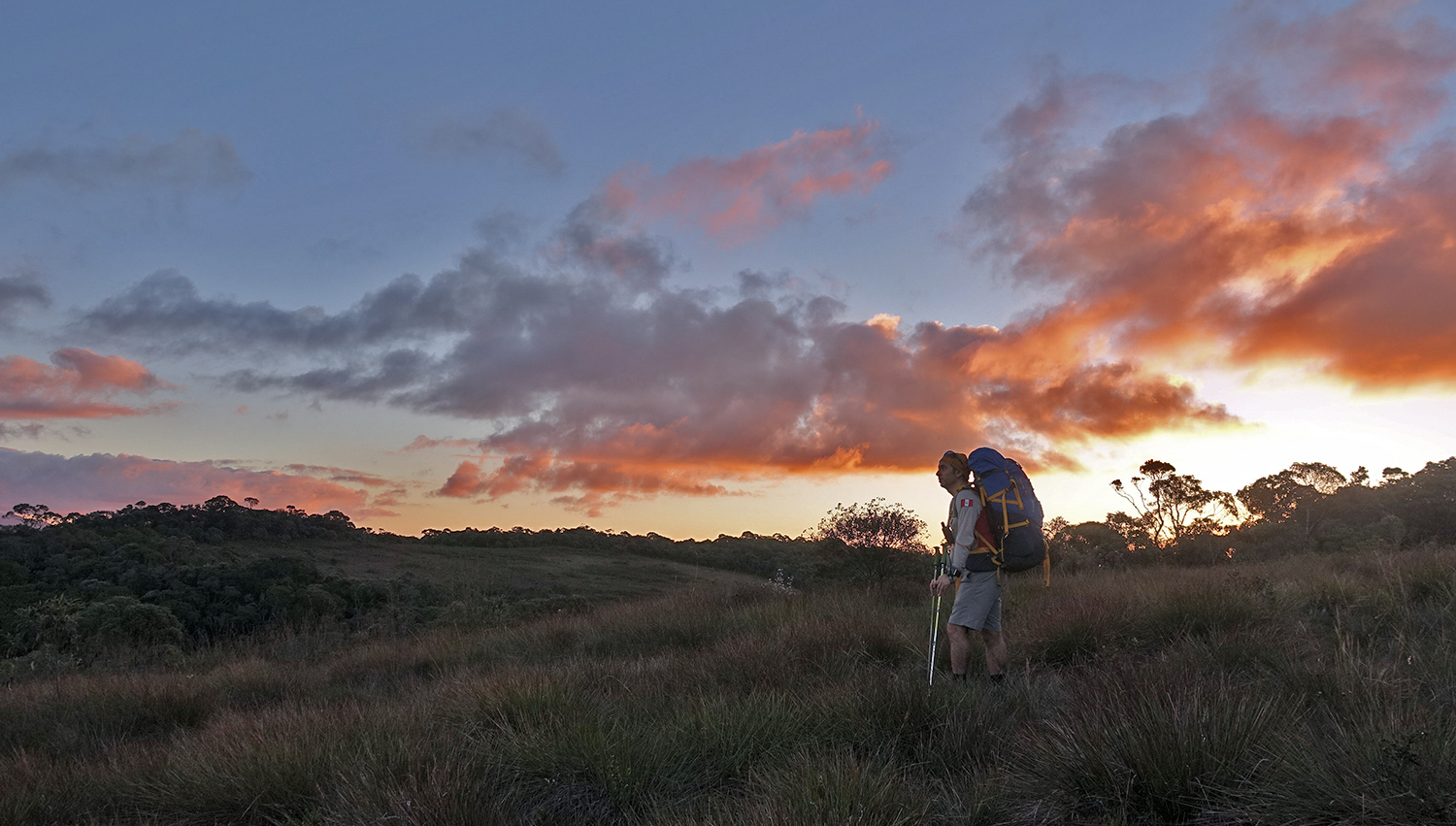 serra do papagaio